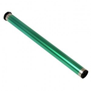 NP0037593